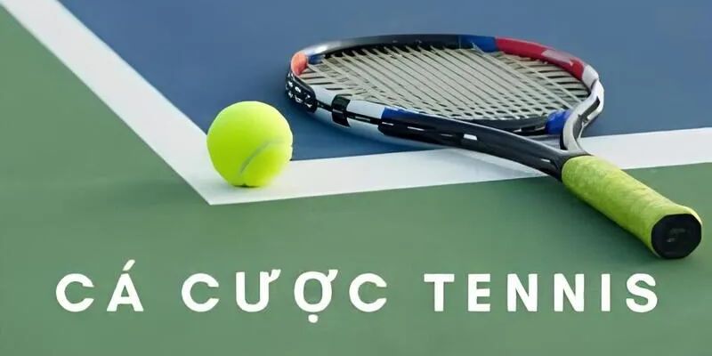 Cá tennis với hơn 500 trận tennis mỗi tuần