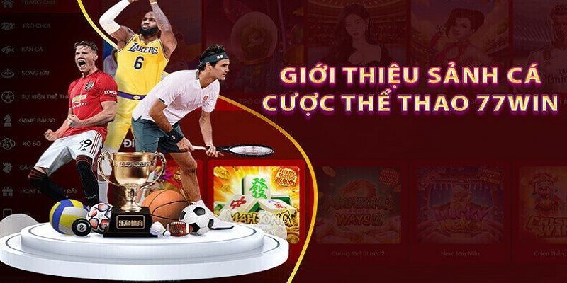 Cá độ thể thao trực tuyến uy tín tại 77Win