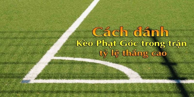 Chia sẻ các bí kíp thành công cho bet thủ khi cá độ kèo phạt góc