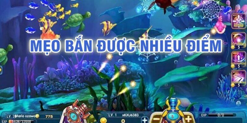 Kinh nghiệm khi chơi game bắn cá ăn thưởng cao