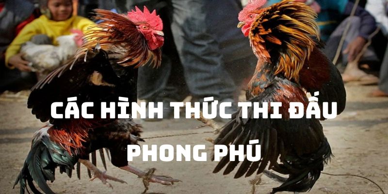 Người chơi tùy ý chọn xem hình thức thi đấu yêu thích