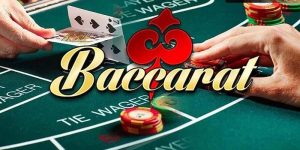 tool baccarat 77win